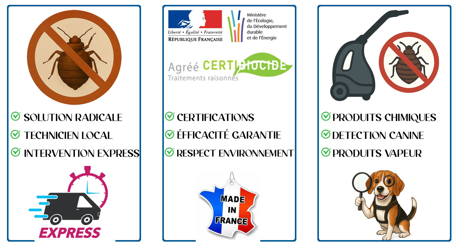 Punaises de Lit Cachan