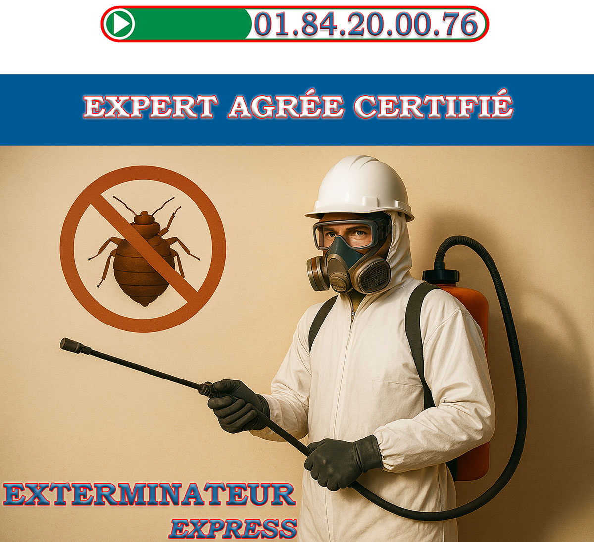 Punaises de Lit Cachan